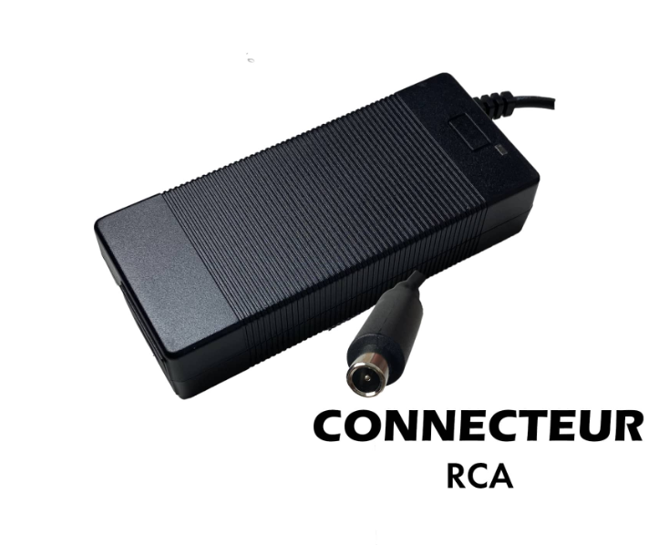 Chargeur 36V - 42V / 2A (connecteur RCA) WZ